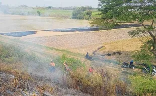 Ganggu Perjalanan, Warga Diimbau Tak Bakar Ilalang & Sampah di Sekitar Jalur KA