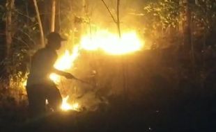 Panik! Ladang di Manyaran Wonogiri Terbakar Nyaris Merembet ke Permukiman