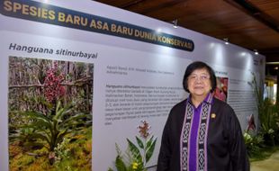 Menteri dari Partai Nasdem di Kabinet Jokowi Sisakan Siti Nurbaya Bakar