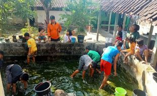 Sambut HUT ke-78 RI, Jemaat Ahmadiyah Solo Gelar Lomba Tangkap Ikan