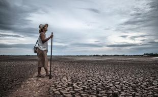 3,2 Juta Hektare Lahan di Jateng Rawan Kekeringan Musim Kemarau, Ini Rinciannya