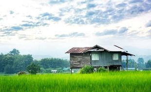 Serem! Kampung di Cilacap Ini Hanya Dihuni 1 Keluarga