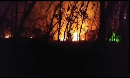 Kebakaran di Gunung Gandul Wonogiri, Lokasi Tengah Hutan Sulitkan Pemadaman