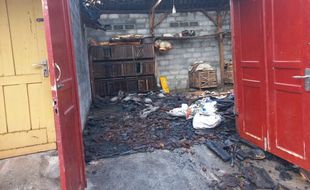 Dapur dan Kandang Ternak Milik Warga Pedan Klaten Terbakar, Sejumlah Ayam Mati