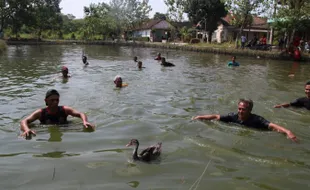 Seru! Puluhan Bapak-bapak Berebut Tangkap Itik dalam Lomba di Buntalan Klaten