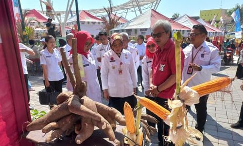 Nonton Yuk! Ada Singkong Raksasa hingga Drone di Pameran Pertanian MPP Klaten