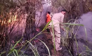 Api Masih Berkobar, 9 Hektare Hutan Lindung Gunung Lawu di Tawangmangu Terbakar