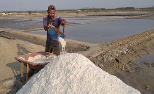 El Nino Jadi Berkah Petani Garam di Rembang, Produksi Meningkat