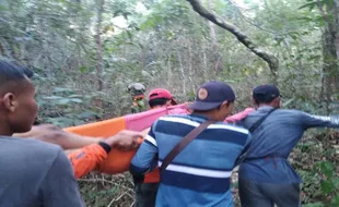 Alhamdulillah, Remaja yang Hilang di Hutan Dlingo Bantul Ditemukan