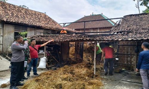 Ditinggal ke Sawah, Kandang Sapi Milik Warga Pantirejo Sragen Ludes Terbakar