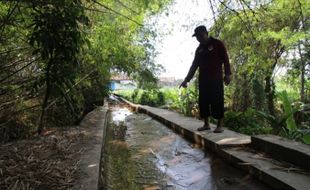 Petani Jogonalan Sambat Saluran Irigasi Penuh Lumpur, DKPP Klaten Segera Cek