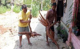 Berukuran Jumbo & Pulen, Ini Jenis Singkong yang Dikembangkan di Gunungkidul