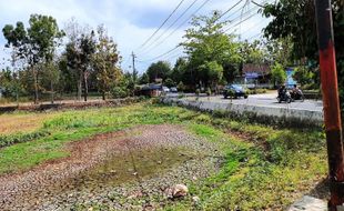 Musim Kemarau di Gunungkidul: 15 Telaga Berfungsi & Ratusan Telaga Mengering