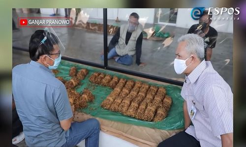 Dilema Tembakau Srintil, Si Emas Hijau Temanggung yang Ditanam di Negara Lain