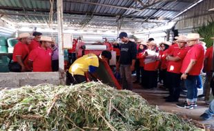 Pengawas dari Berbagai Daerah Belajar Pengolahan Pakan Ternak di Semarang