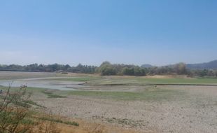 Waduk Tandon di Selogiri Wonogiri Mengering, Warga Cari Ikan di Sisa Genangan