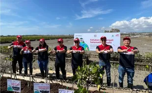 Astra Motor Tanam 10.000 Bibit Mangrove di Bali, Wujud Semangat Selamatkan Bumi