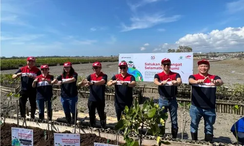 Astra Motor Tanam 10.000 Bibit Mangrove di Bali, Wujud Semangat Selamatkan Bumi