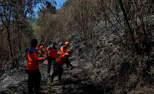 Penjelasan BB TNBTS soal Waktu Pembukaan Kawasan Bromo Usai Kebakaran Hebat