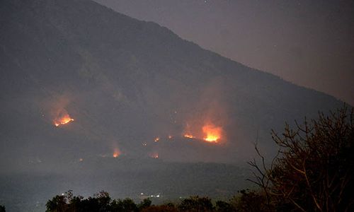 Kebakaran Hutan di Kawasan Lereng Gunung Agung Bali