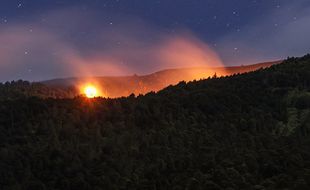 3 Hari, 160,61 Hektare Hutan di Gunung Baluran Jawa Timur Ludes Terbakar