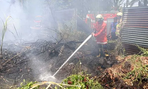 Lahan Kosong di Jl Adisucipto Solo Terbakar, 4 Mobil Damkar Dikerahkan