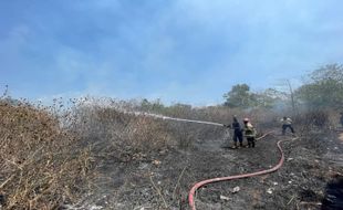 Sehari, Damkar Boyolali Tangani Kebakaran Lahan Sebanyak Tiga Kali