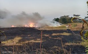 Duh! Ada Petani di Boyolali Sengaja Bakar Lahan Tebu hingga Api Tak Terkendali