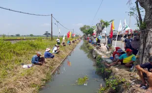 Tetap Guyub! 5 Caleg Beda Partai Kompak Gelar Mancing Bareng di Gondang Sragen