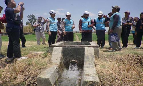 Hemat Biaya, Petani di Pemalang Beralih dari Diesel ke Listrik PLN