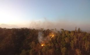 Kebakaran di Bukit Cemoro Sewu Bayat Klaten, Hutan Seluas 8,5 Ha Dilalap Api