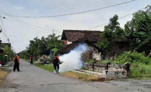 Waspada! Dua Bocah di Ngawi Meninggal Gara-gara Terjangkit DBD