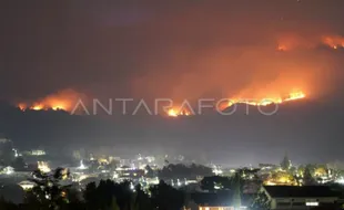 2 Pekan Kebakaran, 916 Hektare Lahan di Gunung Arjuno Wilayah Batu Ludes