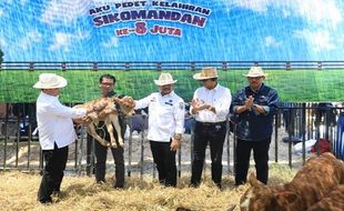 Ternak Jateng Terbanyak Kedua Nasional, Nana: Potensi Lumbung Pangan Dunia 2045