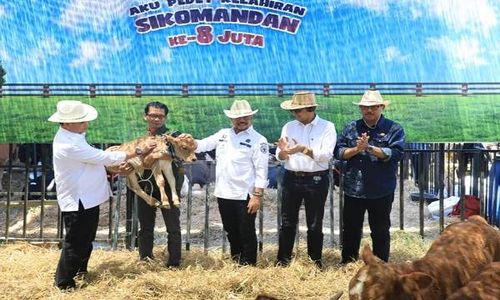 Ternak Jateng Terbanyak Kedua Nasional, Nana: Potensi Lumbung Pangan Dunia 2045