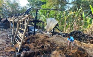 Kandang Terbakar, 2 Sapi Milik Warga Kebonarum Klaten Mati Terpanggang