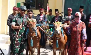 Seru! Lomba Karapan Sapi Piala Panglima TNI 2023 Digelar di Bangkalan