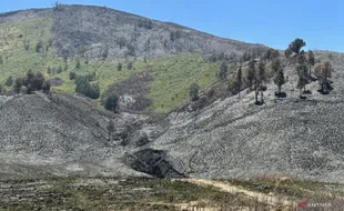 Ngeri, Kerugian Akibat Kebakaran di Gunung Bromo Mencapai Rp5,4 Miliar