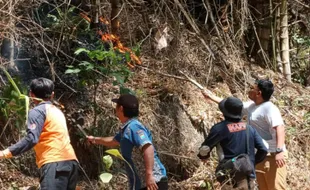 Gegara Kebakaran Hutan, Jalur Pendakian Gunung Budheg Tulungagung Ditutup