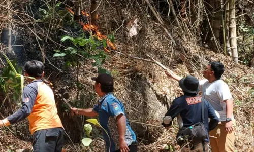 Gegara Kebakaran Hutan, Jalur Pendakian Gunung Budheg Tulungagung Ditutup