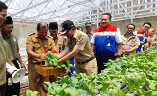 Keren! Kawasan Edukasi Pertanian-Peternakan di Boyolali Ini Dikelola 25 Difabel