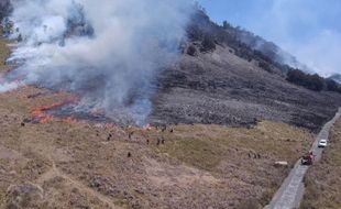 Ada Kebakaran Hutan dan Lahan, Penanjakan Bromo Ditutup