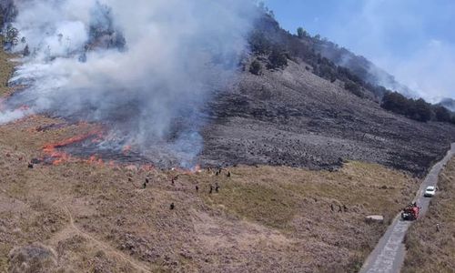 Ada Kebakaran Hutan dan Lahan, Penanjakan Bromo Ditutup