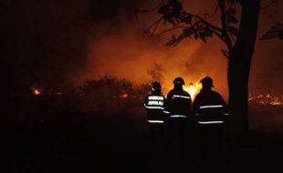 Kebakaran Dekat Kebun Raya Indrokilo Boyolali, Penyebabnya Orang Bakar Lahan