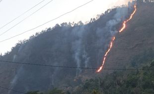 Api di Lereng Gunung Kelir Semarang Padam, Mobil Damkar Disiagakan