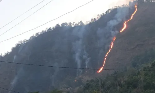 Api di Lereng Gunung Kelir Semarang Padam, Mobil Damkar Disiagakan