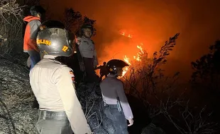 Polda Jateng: 88 Pendaki Dievakuasi dalam Kebakaran di Gunung Sumbing