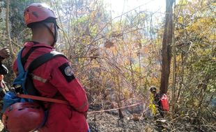 Kebakaran Hutan Marak di Klaten, Waspadai Wilayah Gunung Pegat dan Jabalkat