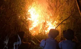 Pagi Ini Kebakaran Hutan di Lereng Gunung Lawu Karanganyar Masih Membara