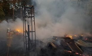 Peternakan di Mijen Semarang Kebakaran, Ribuan Ekor Ternak Terpanggang